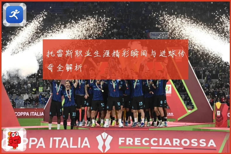 托雷斯职业生涯精彩瞬间与进球传奇全解析