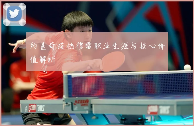 约基奇搭档穆雷职业生涯与核心价值解析